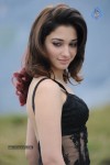 Tamanna Hot Photos - 29 of 151