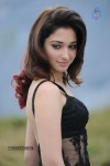 Tamanna Hot Photos - 30 of 151