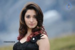 Tamanna Hot Photos - 46 of 151