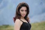 Tamanna Hot Photos - 51 of 151