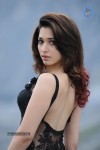 Tamanna Hot Photos - 41 of 151