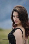 Tamanna Hot Photos - 81 of 151