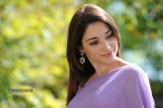 Tamanna Hot Photos - 67 of 70