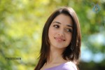 Tamanna Hot Photos - 46 of 70