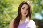 Tamanna Hot Photos - 69 of 70