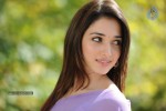 Tamanna Hot Photos - 8 of 70