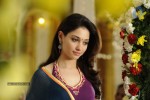 Tamanna Hot Stills - 25 of 41