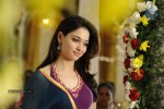 Tamanna Hot Stills - 30 of 41