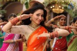 Tamanna Hot Stills - 31 of 41