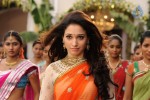 Tamanna Hot Stills - 16 of 41