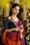 Tamanna Hot Stills - 40 of 41