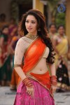 Tamanna Hot Stills - 25 of 41