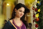 Tamanna Hot Stills - 29 of 41