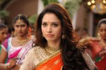 Tamanna Hot Stills - 31 of 41