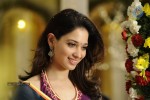 Tamanna Hot Stills - 32 of 41
