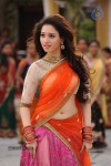 Tamanna Hot Stills - 35 of 41