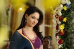 Tamanna Hot Stills - 36 of 41