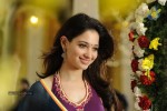 Tamanna Hot Stills - 38 of 41