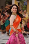 Tamanna Hot Stills - 41 of 41