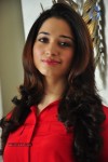 Tamanna Latest Gallery - 10 of 95