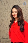 Tamanna Latest Gallery - 12 of 95