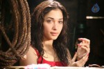 Tamanna Latest Stills - 2 of 65