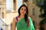 Tamanna New Photo Gallery - 19 of 69