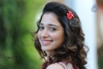 Tamanna New Photos - 7 of 69