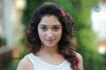 Tamanna New Photos - 14 of 69