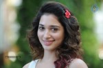 Tamanna New Photos - 19 of 69