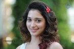 Tamanna New Photos - 23 of 69