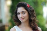 Tamanna New Photos - 27 of 69