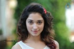 Tamanna New Photos - 30 of 69