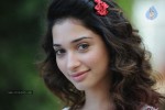 Tamanna New Photos - 36 of 69