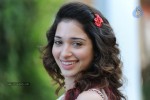 Tamanna New Photos - 38 of 69