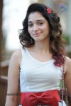 Tamanna New Pics - 14 of 45