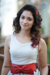 Tamanna New Pics - 19 of 45