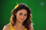 Tamanna New Spicy Photos - 48 of 89