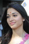 Tamanna New Stills - 39 of 49