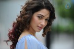 Tamanna Photo Gallery - 22 of 110