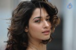 Tamanna Photo Gallery - 94 of 110