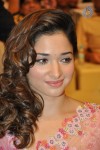 Tamanna Photos - 28 of 40