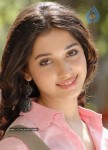 Tamanna Stills - 19 of 40