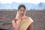 Tamil Actress Rama Stills - 55 of 56