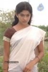 Tamil Actress Rama Stills - 50 of 56