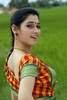 Tamanna Bhatia - 12 of 35