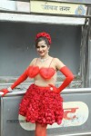 Tanisha Singh Special Photo Shoot - 11 of 28