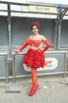 Tanisha Singh Special Photo Shoot - 18 of 28