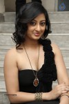 Tanishka Spicy Pics - 74 of 90