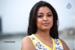 Tanushree Dutta New Stills  - 29 of 33